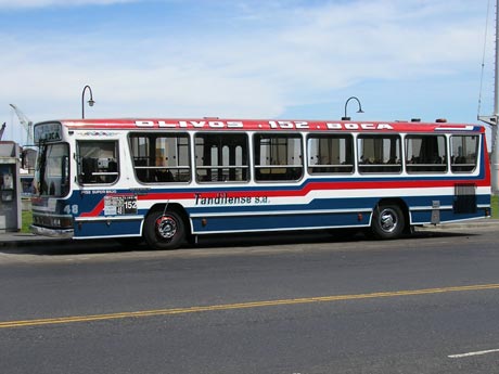 Bus - Buenos Aires